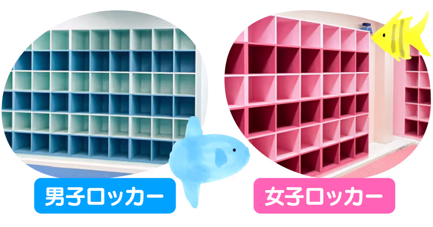 青いロッカー棚が並ぶ男子ロッカーとピンクのロッカー棚が並ぶ女子ロッカーの室内。