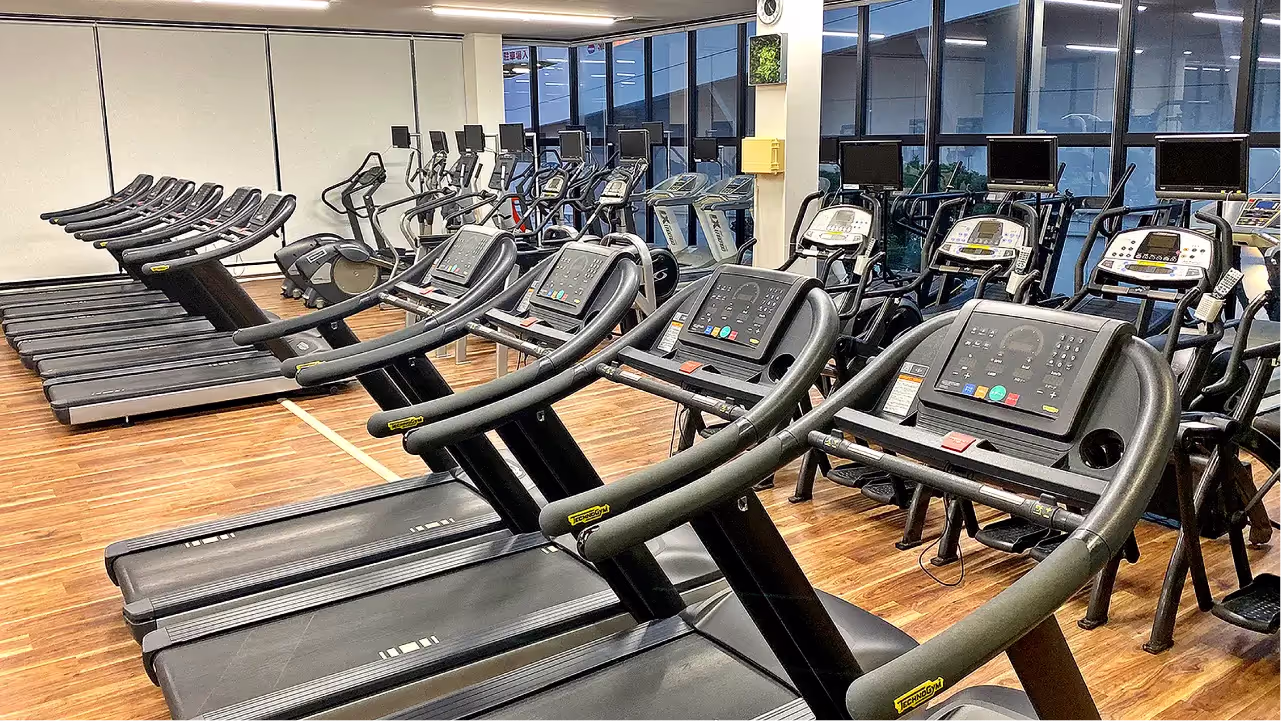 ジムに整然と並んだトレッドミルとエリプティカルマシンが木目調の床の上に置かれている。
