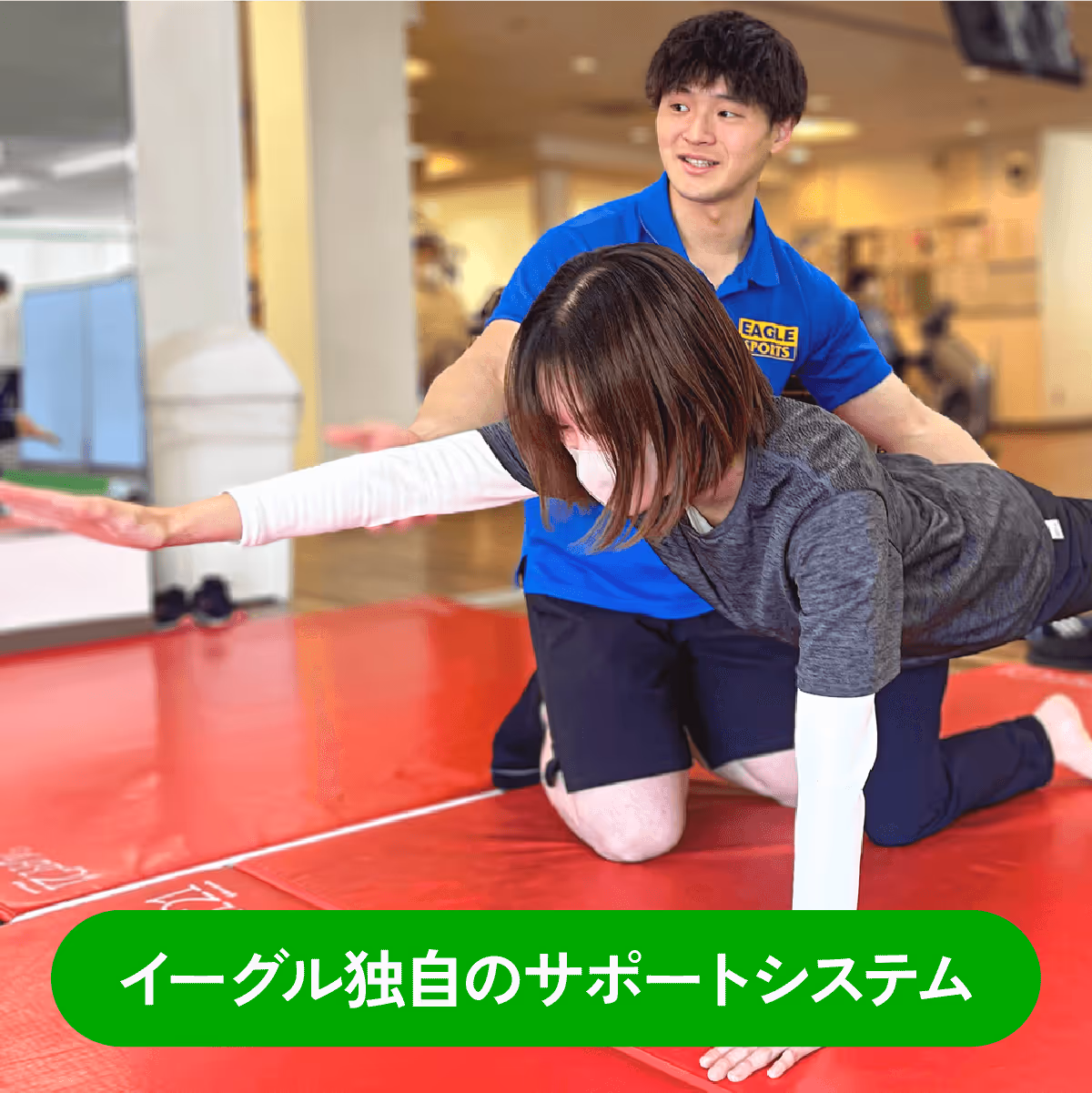 サポートシステム